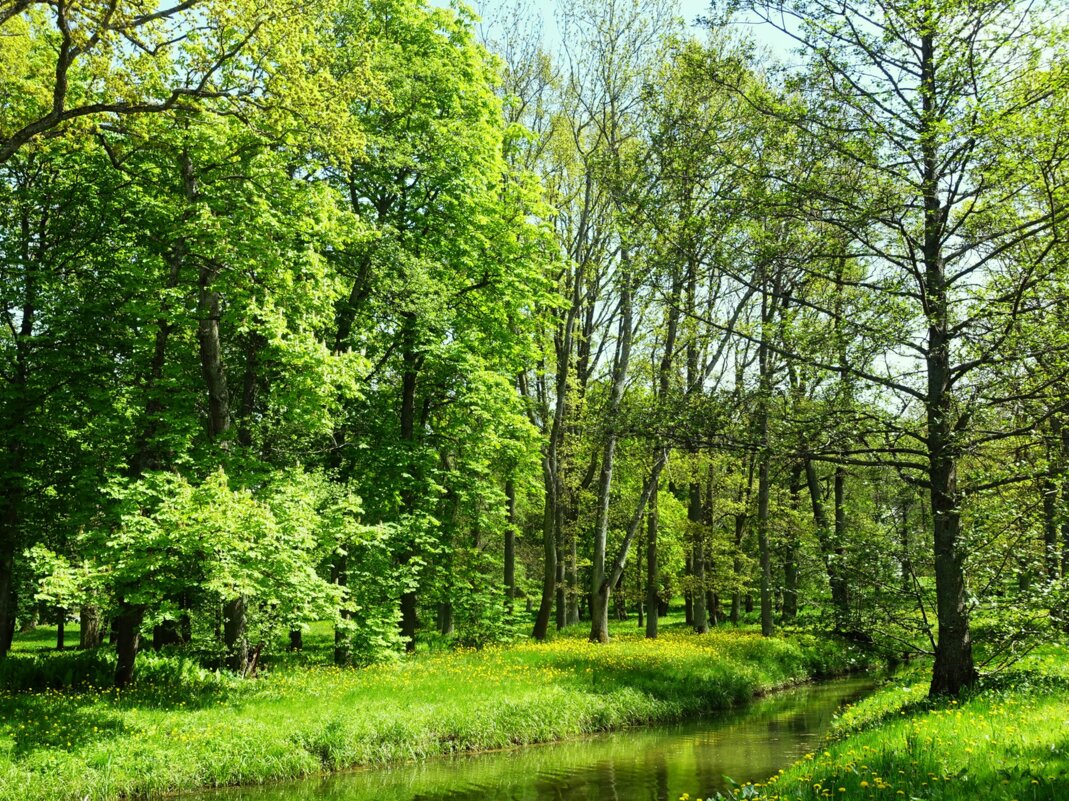 Мызный парк в посёлке Виймси - Aida10 Мызный парк в посёлке Виймси - Aida10