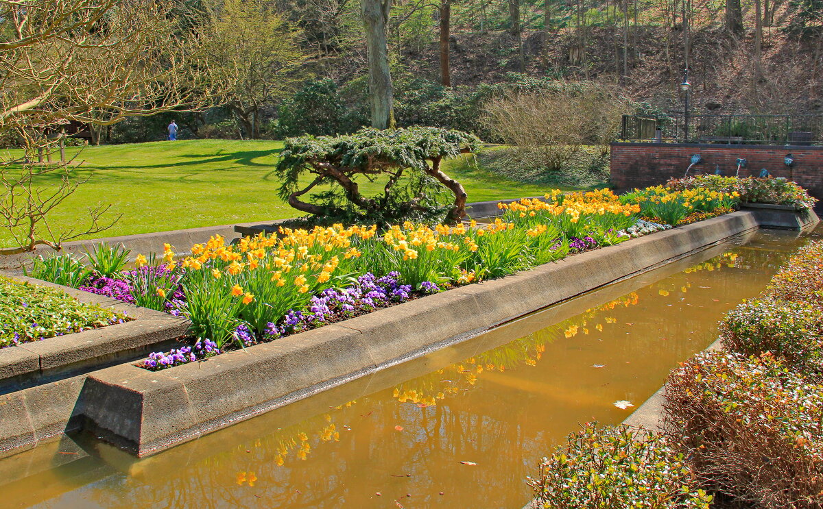 Фонтан в весеннем парке - Андрей K.