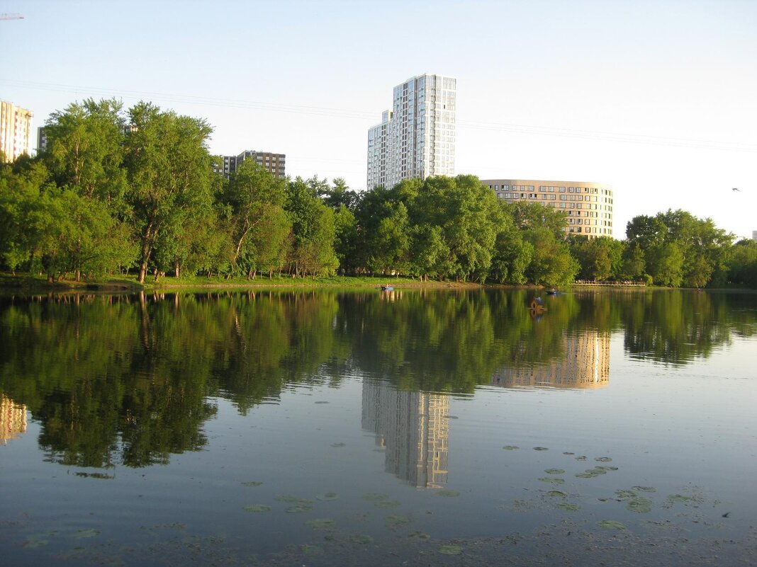 Отражение - Дмитрий Никитин Отражение - Дмитрий Никитин