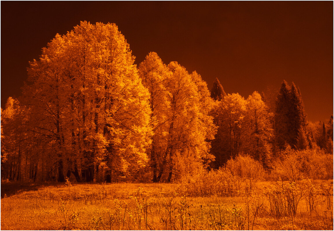 Медовый спас - Валентин Котляров