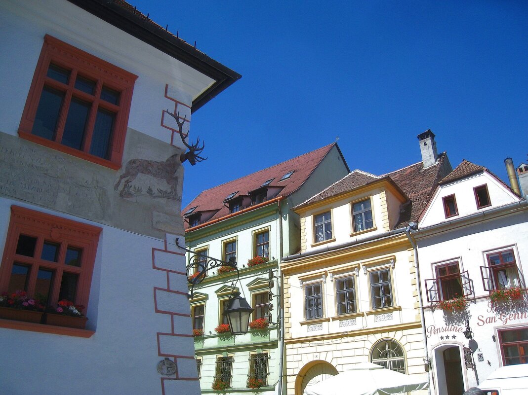 Дом с оленем, Сигишоара, Румыния. - unix (Илья Утропов)