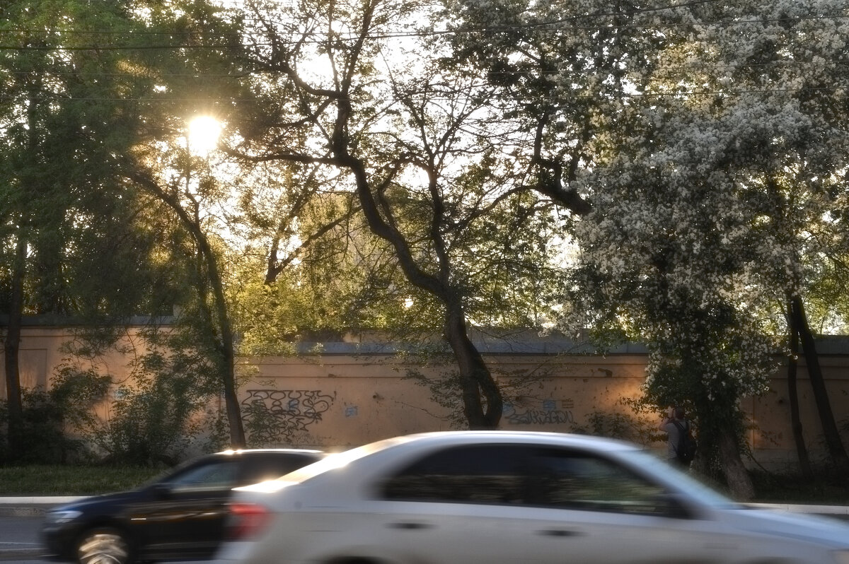 *** - Сергей Сергеев