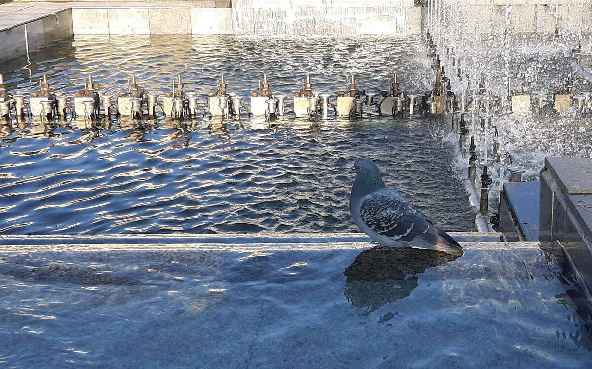 У фонтана - Наталья Герасимова