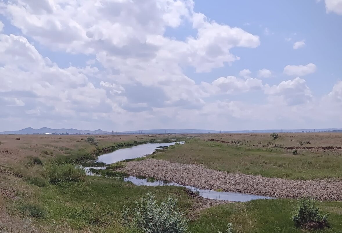 Степная речка - Георгиевич Степная речка - Георгиевич