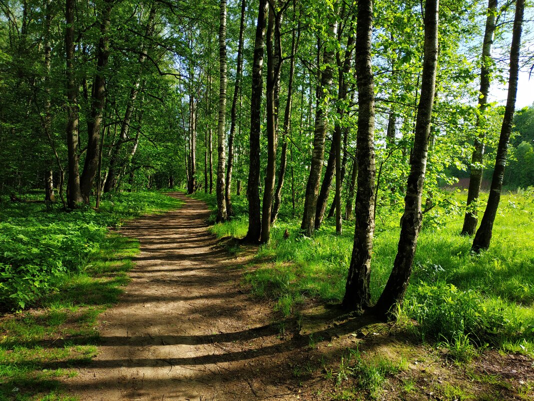 Летние мотивы - Андрей Лукьянов Летние мотивы - Андрей Лукьянов