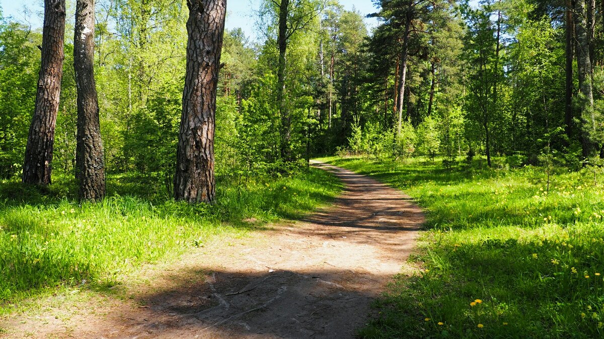 В пригороде Смоленска. - Милешкин Владимир Алексеевич В пригороде Смоленска. - Милешкин Владимир Алексеевич