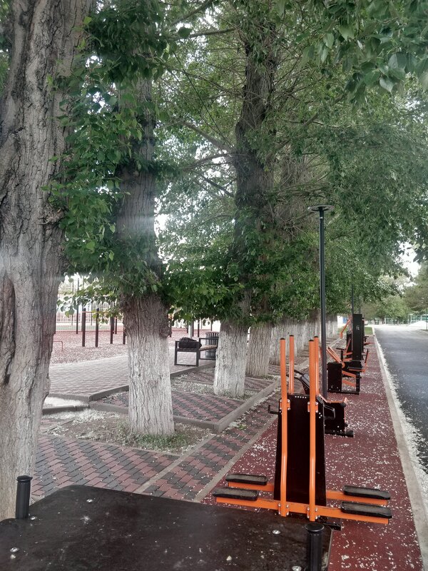 Спортивный комплекс - Андрей Хлопонин