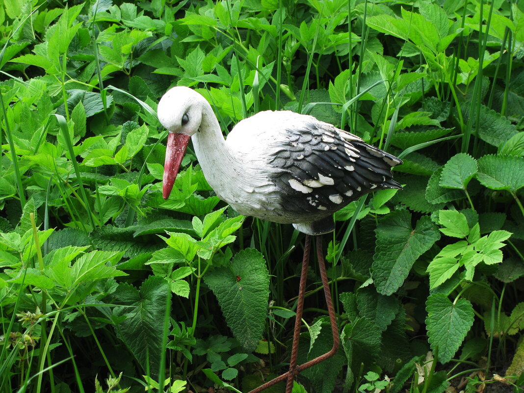 В саду - Людмила Смородинская В саду - Людмила Смородинская