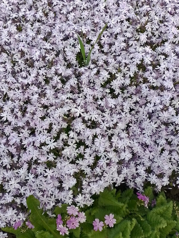 *** - Валентина Береснева