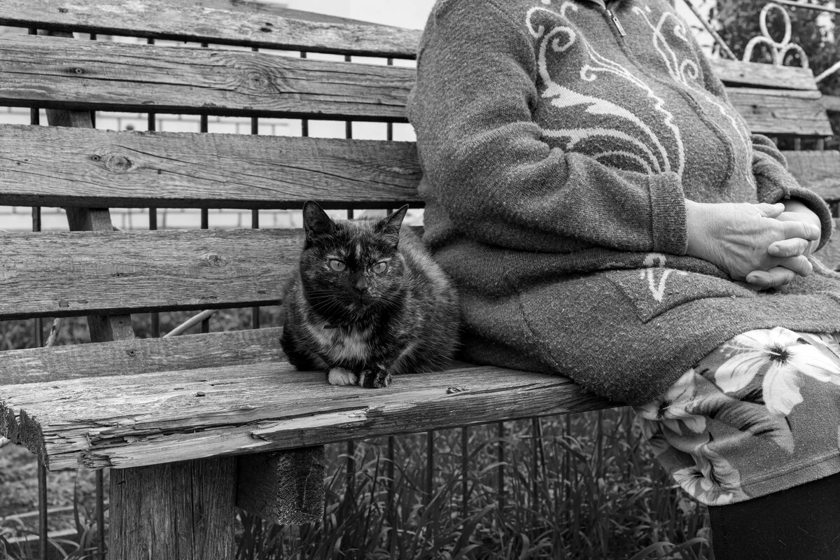 «Одна жизнь на двоих» - «С Шелей» - Наталья Сафронова «Одна жизнь на двоих» - «С Шелей» - Наталья Сафронова