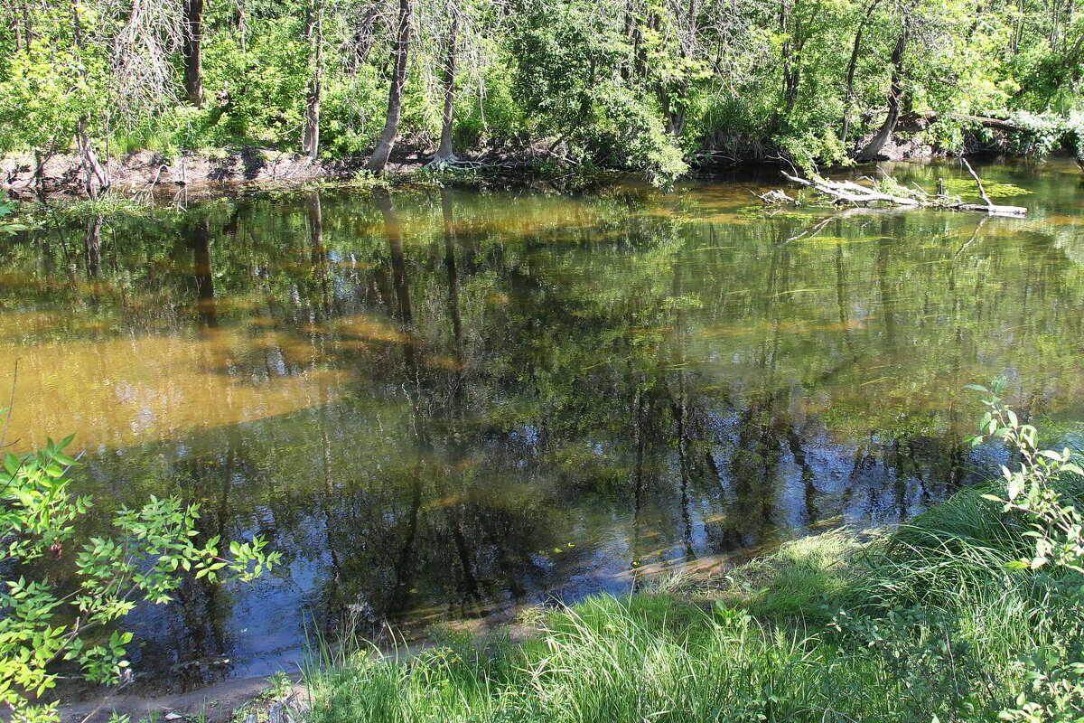 Вот и лето пришло.. - Сергей 