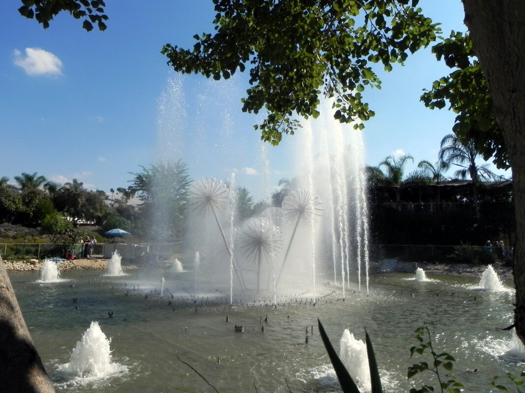 Поющие фонтаны - Светлана Хращевская Поющие фонтаны - Светлана Хращевская