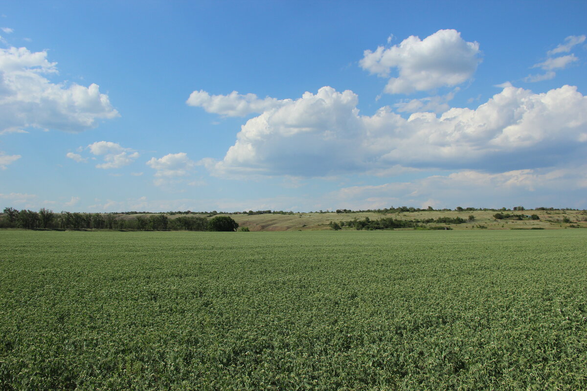 Май на Дону. - Виктор 