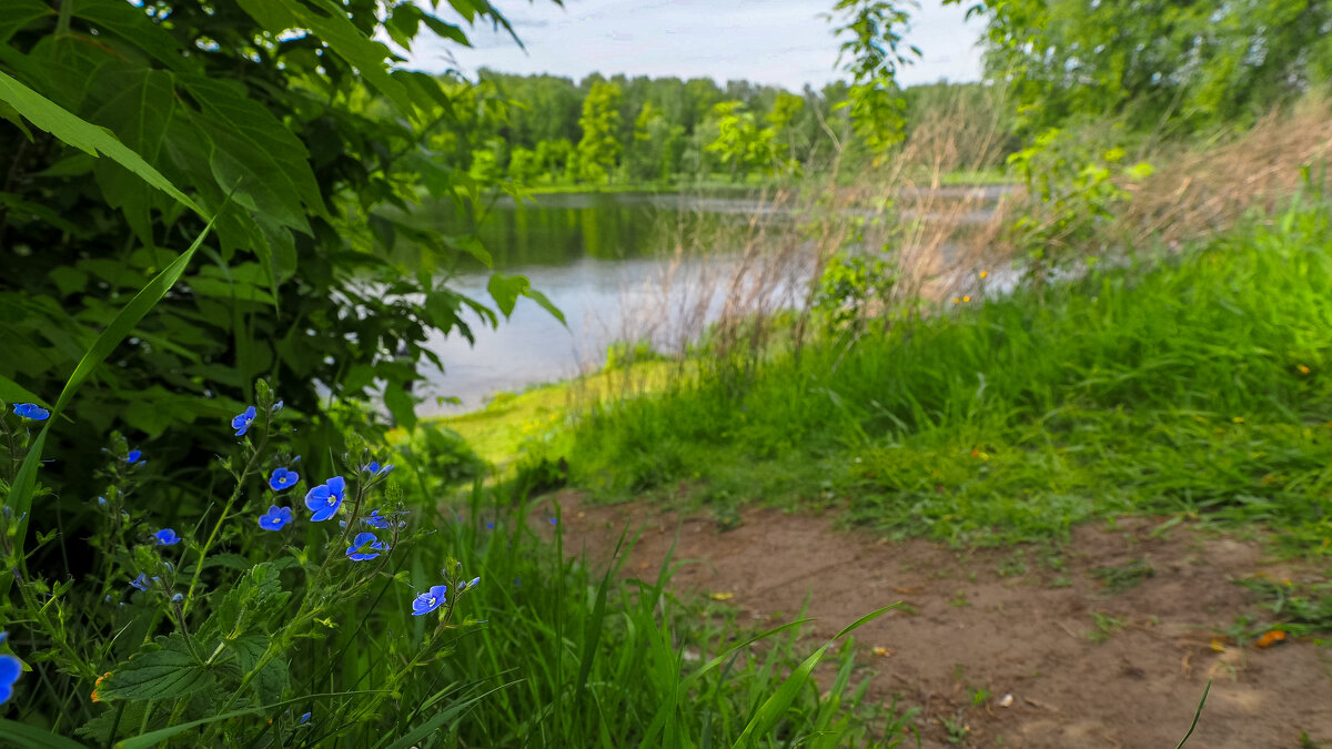 ***** - юрий поляков