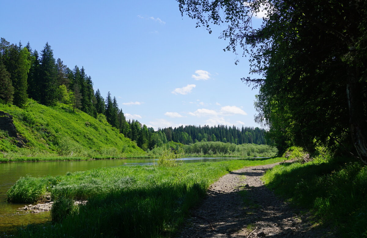 Вдоль реки - Наталия Григорьева Вдоль реки - Наталия Григорьева