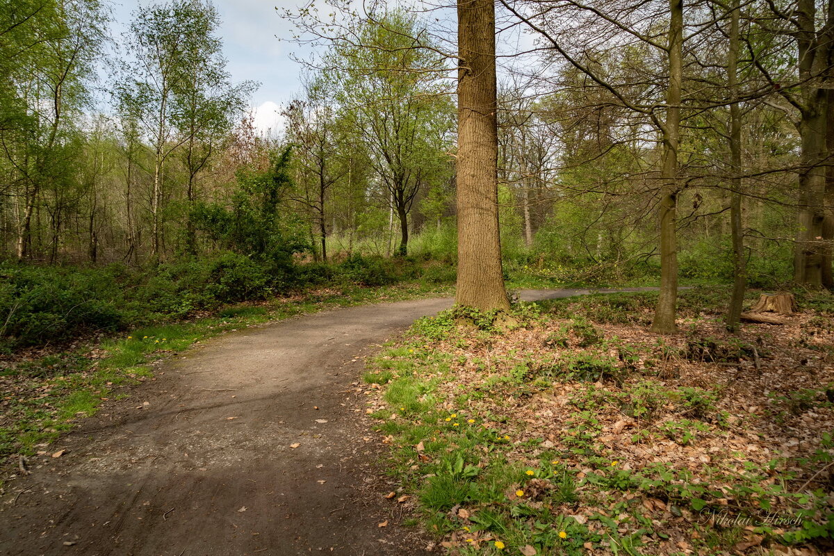 По тропинке... - Николай Гирш