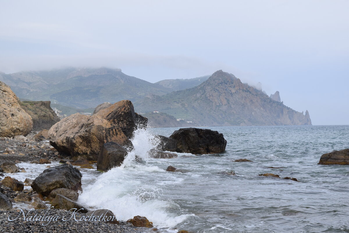 Природа Крыма - Amazing Cosmea