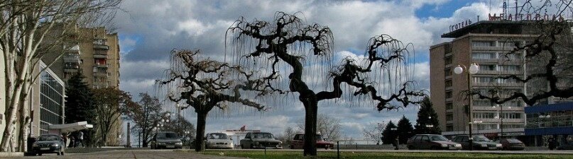 . - Александр Хоменко