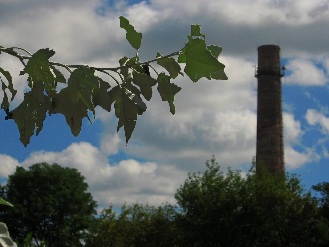 . - Александр Хоменко