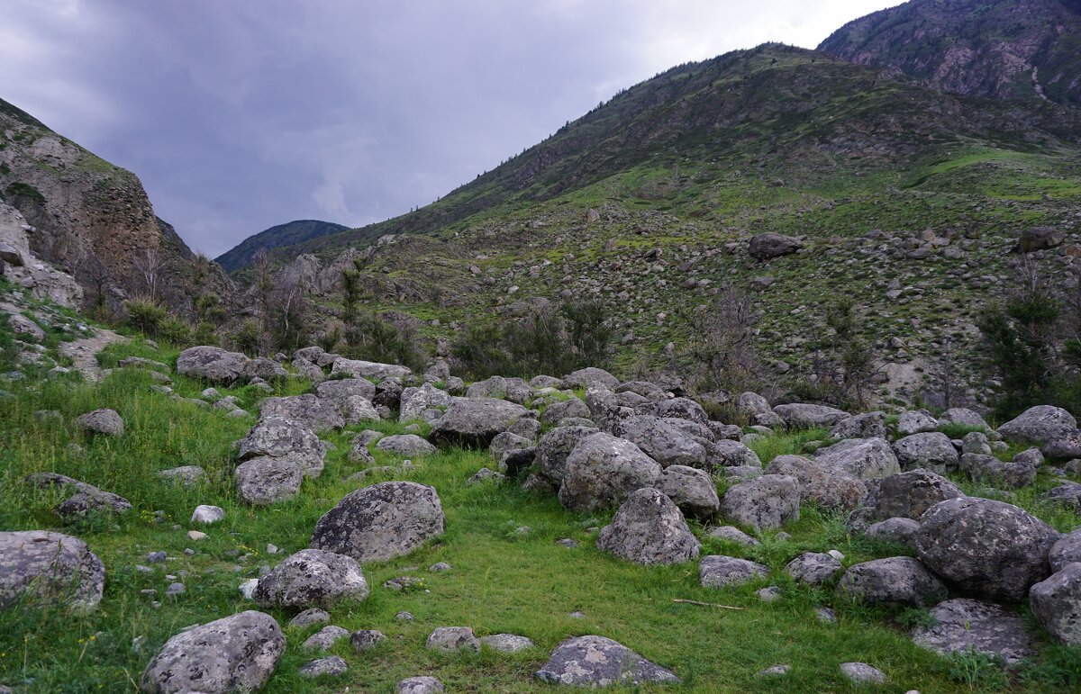 Курумы в долине Чулышмана - Ольга Чистякова Курумы в долине Чулышмана - Ольга Чистякова