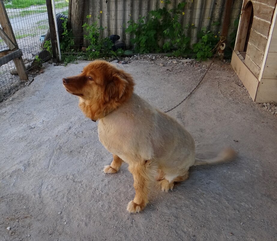 Готовы к летнему сезону..Дора - Антонина Гугаева Готовы к летнему сезону..Дора - Антонина Гугаева