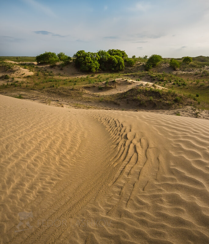 Из серии: «Многоликая земля» - Фёдор. Лашков Из серии: «Многоликая земля» - Фёдор. Лашков
