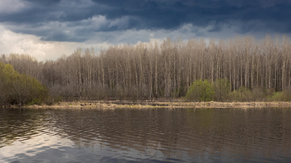 Aspen forest on the bank of the deep Bolshoy Puchkas River on a cloudy spring day | 4 - Sergey Sonvar Aspen forest on the bank of the deep Bolshoy Puchkas River on a cloudy spring day | 4 - Sergey Sonvar