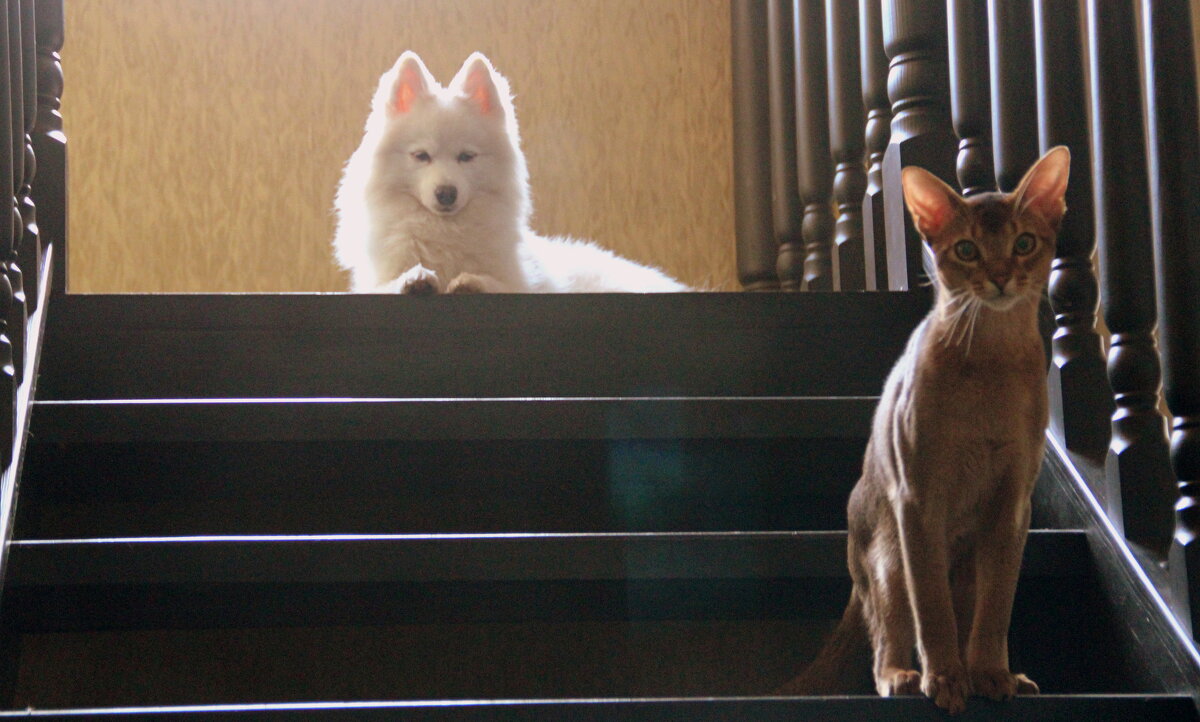 Друзья - Елена Минина