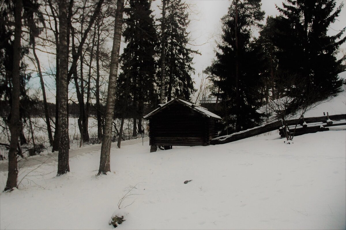 Домик на Сеурасаари - Alexandra Sakharova