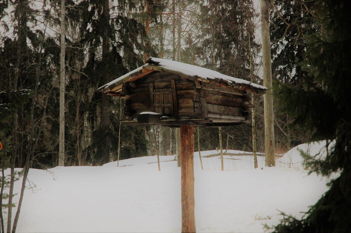 Древний холодильник - Alexandra Sakharova