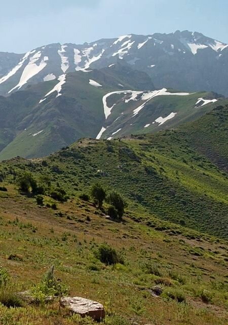 ПО ГОРАМ. - Виктор Осипчук