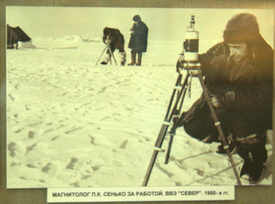 Музей Арктики и Антарктики - Танзиля Завьялова