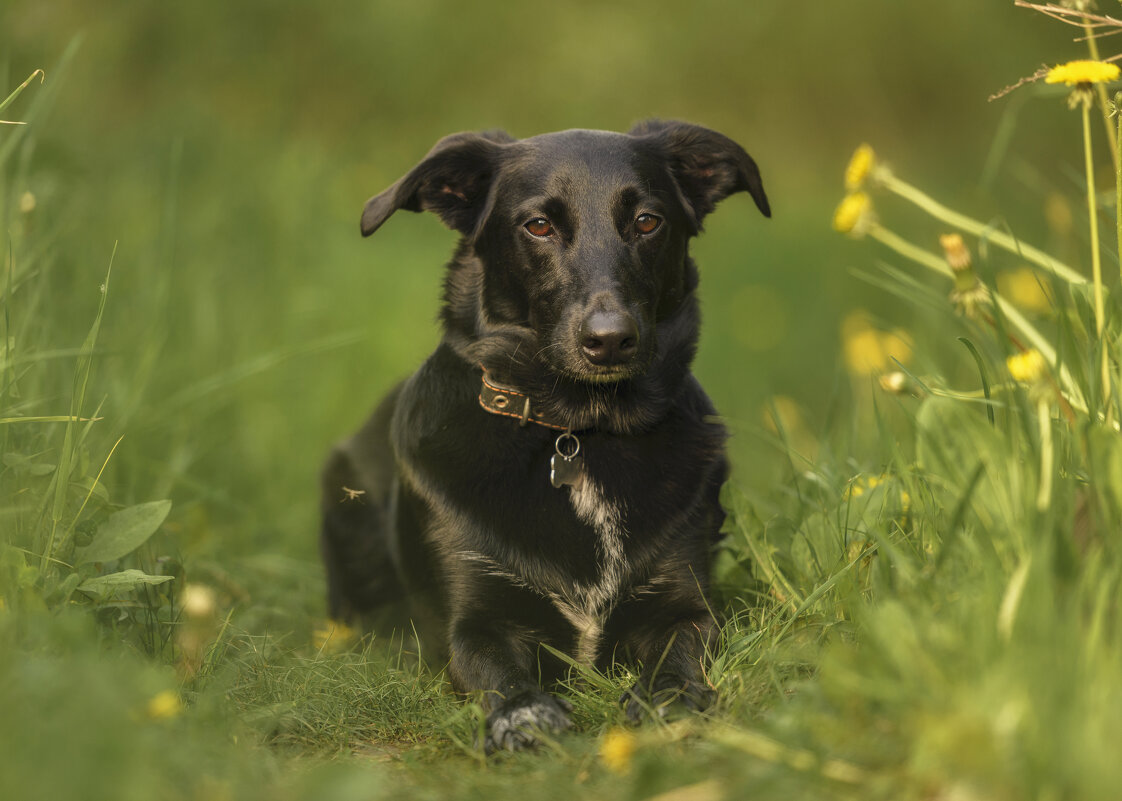 Взгляд - Максим Вышарь