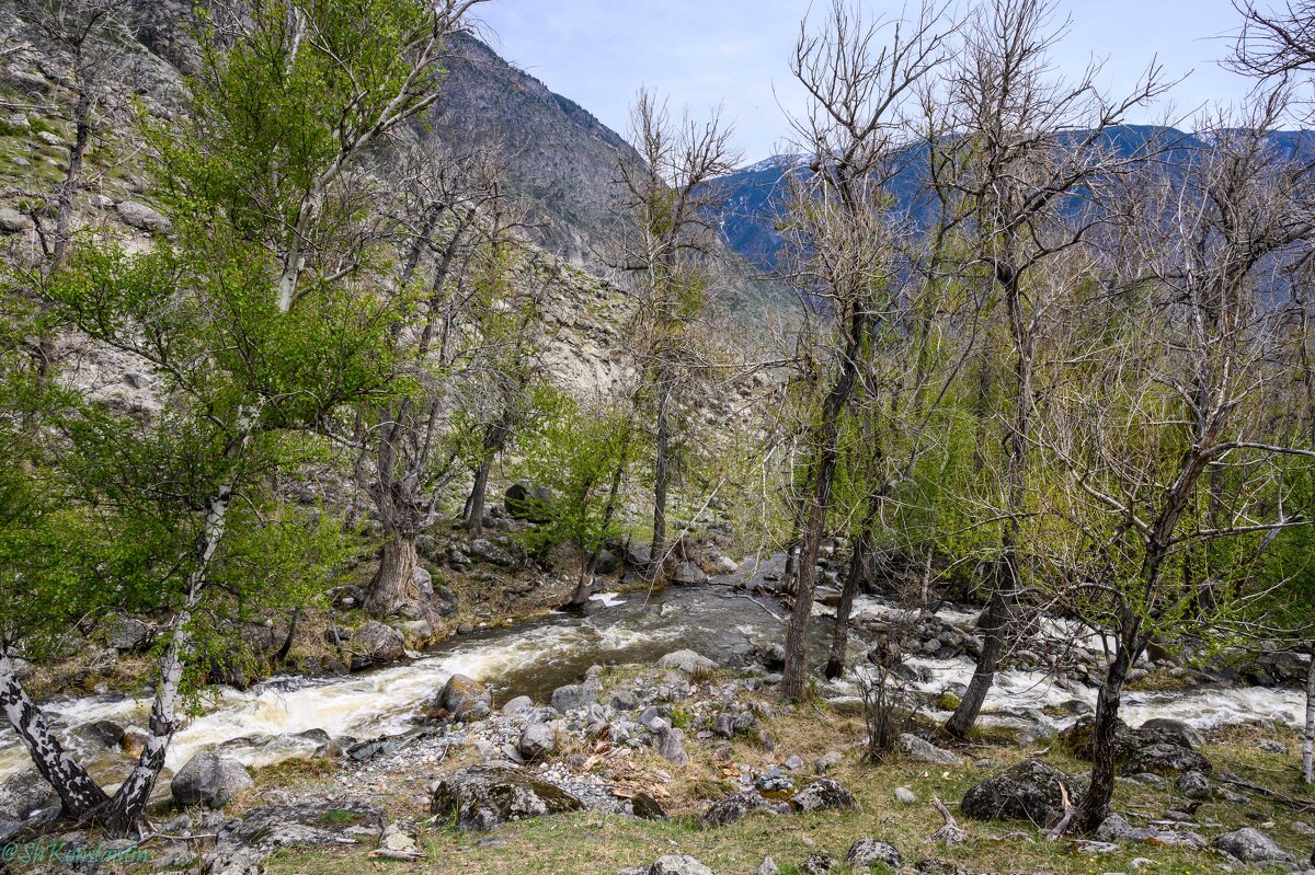 горные речушки - Константин Шабалин