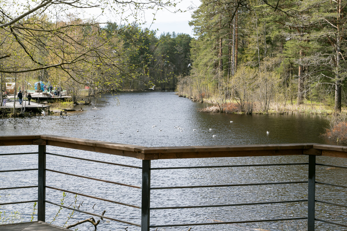 Река. - Валерий Пославский Река. - Валерий Пославский