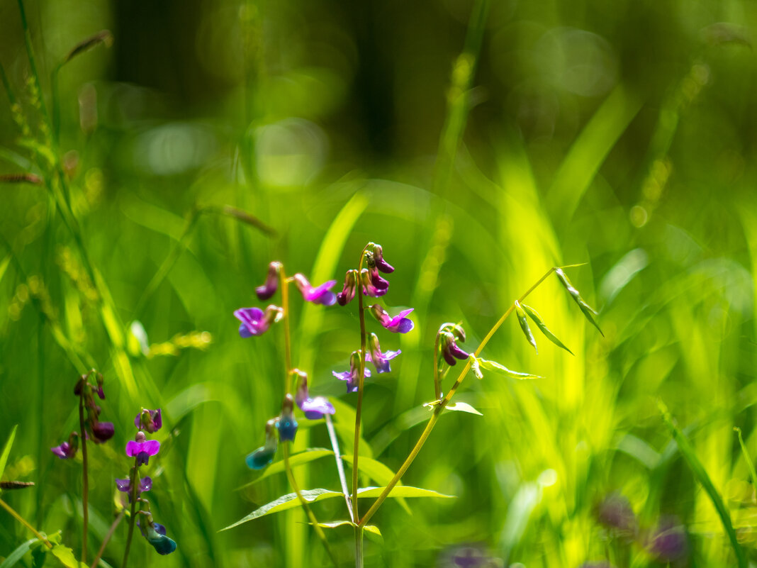 ___ - Yuriy V ___ - Yuriy V