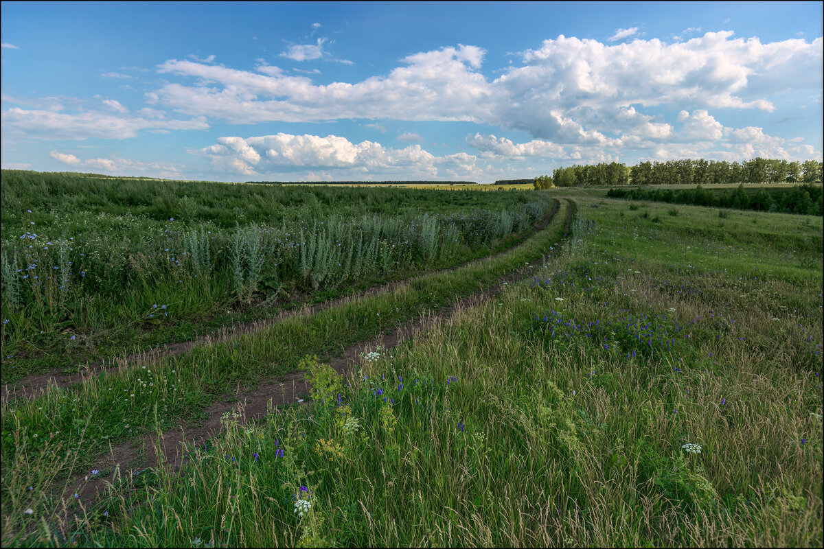 Проселок - **** vedin