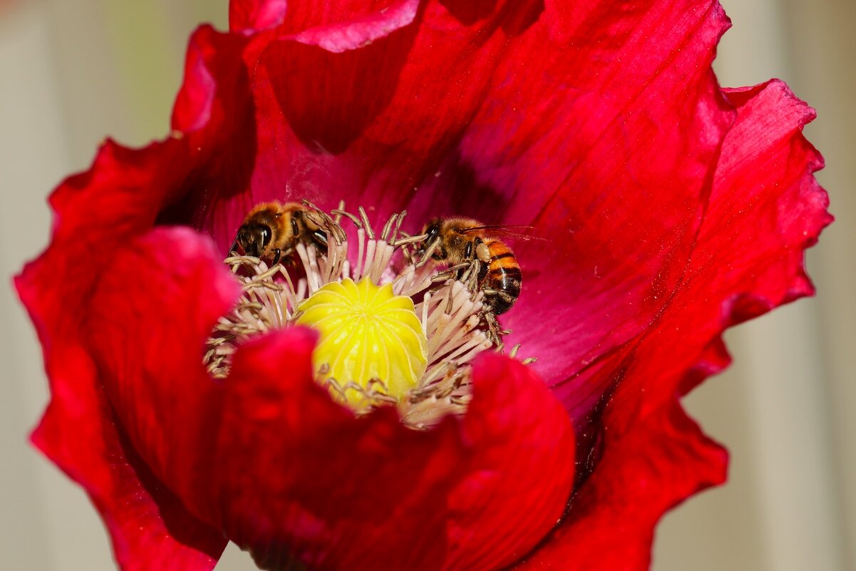 За работой - Юрий. Шмаков