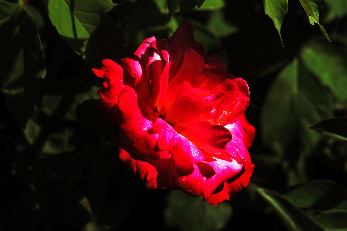 С Днём Пограничника! - Юрий Гайворонскiий