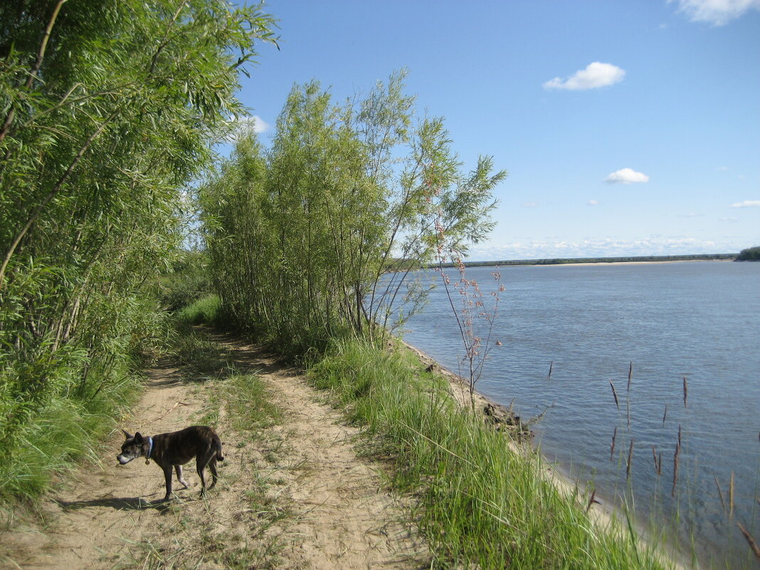 У протоки - Anna Ivanova У протоки - Anna Ivanova