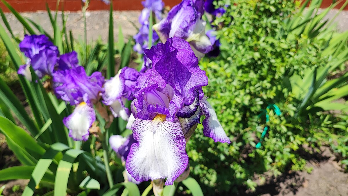 ,,, - Сергей Тимоновский