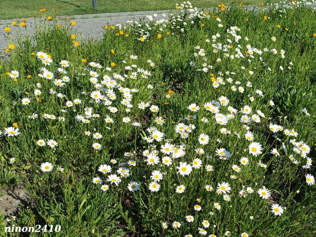 В ростовском экопарке - Нина Бутко В ростовском экопарке - Нина Бутко
