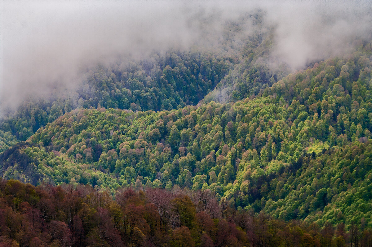 ... - Игорь Хижняк ... - Игорь Хижняк