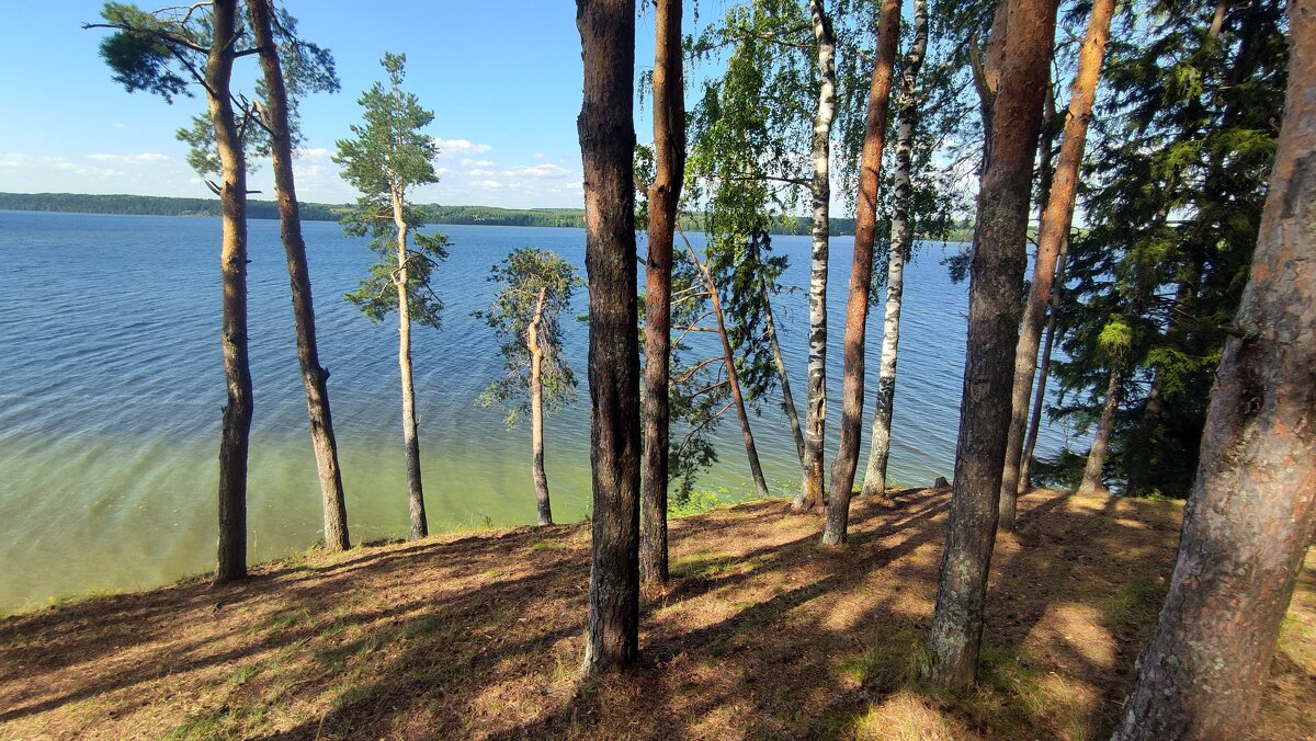 Волга - Сергей П.