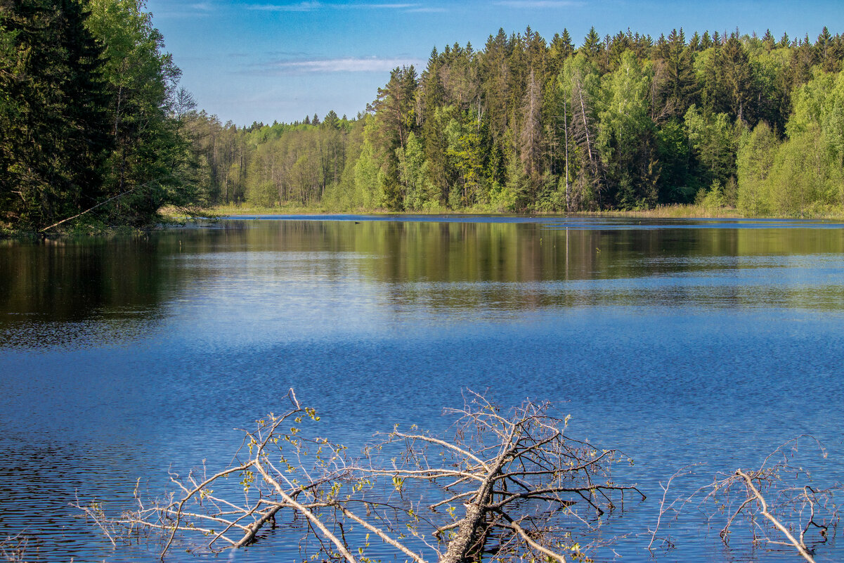 Озеро на Козелкином хуторе - Sergei Vikulov Озеро на Козелкином хуторе - Sergei Vikulov