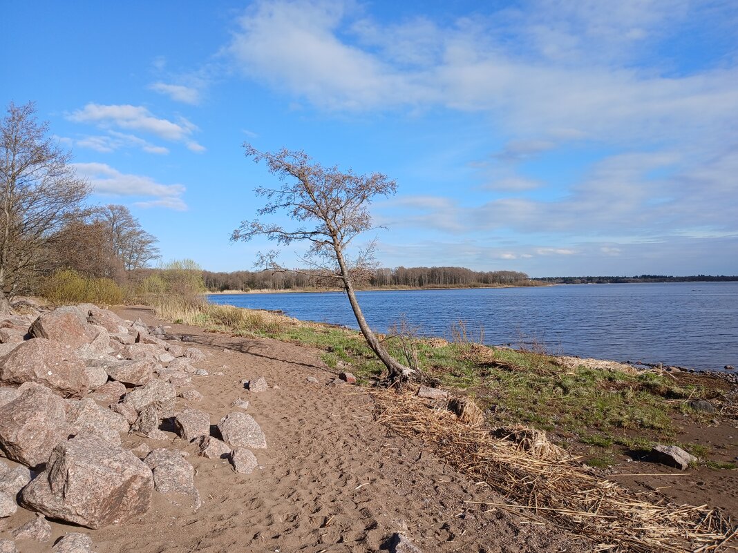 Финский залив в апреле. - Лия ☼ Финский залив в апреле. - Лия ☼