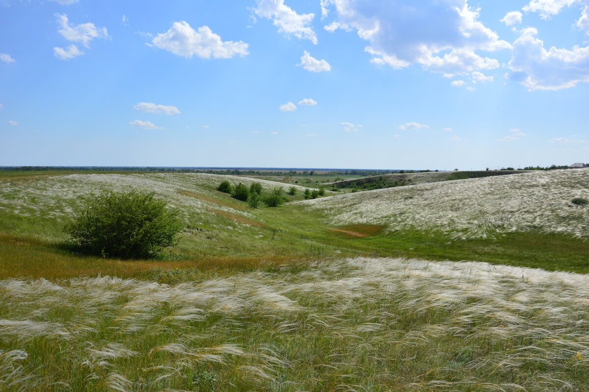 В степи. - Виктор В степи. - Виктор