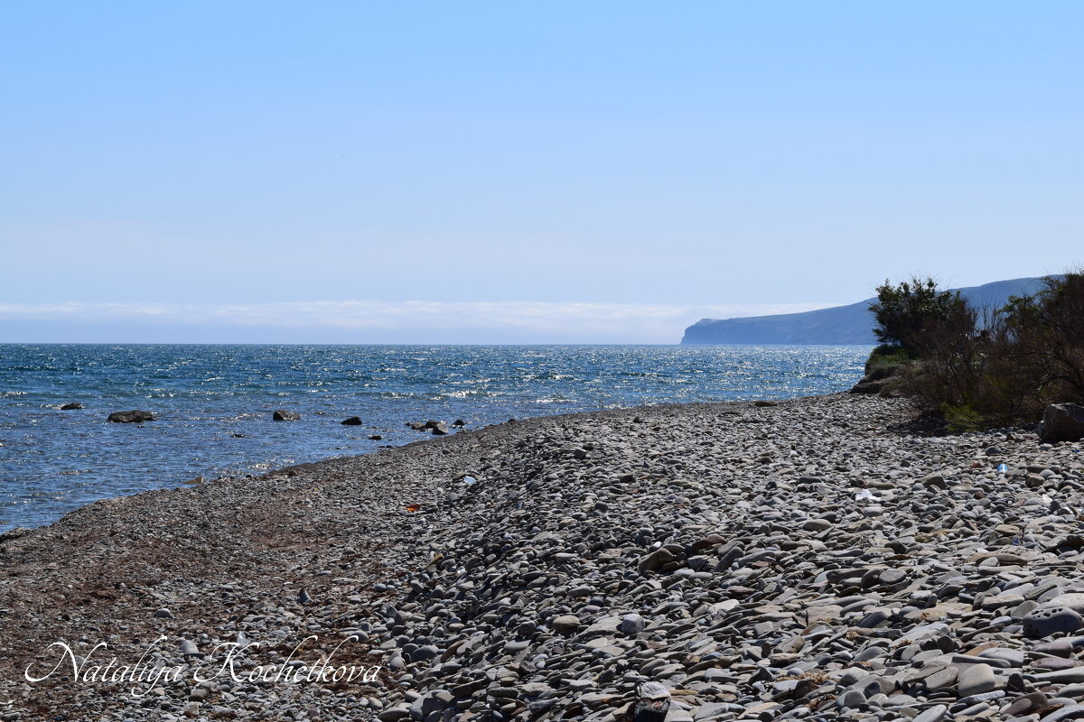 Природа Крыма - Amazing Cosmea