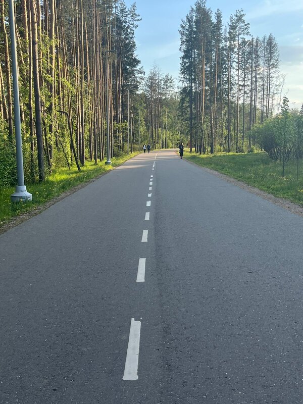 Дорога к дому - Ирэн Дорога к дому - Ирэн