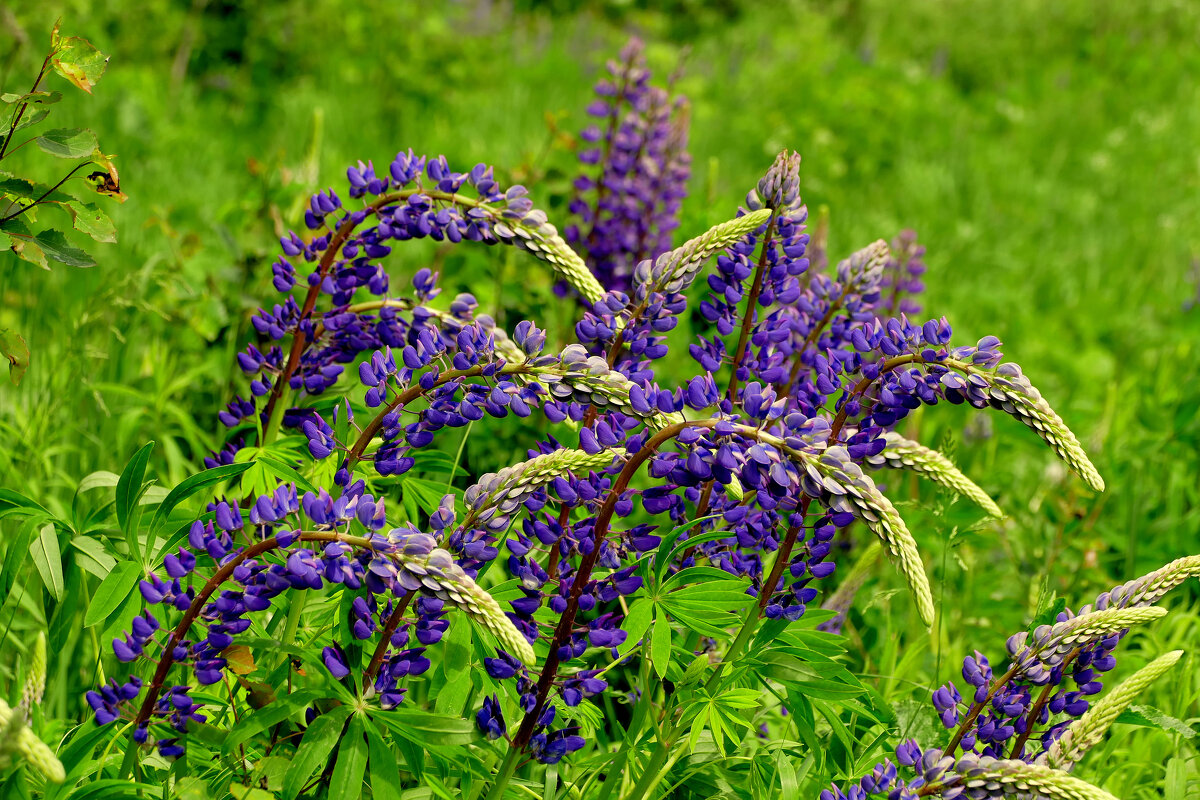 из вчерашней съемки 1 - Александр Прокудин
